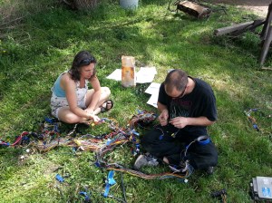 Sorting the 89 harness